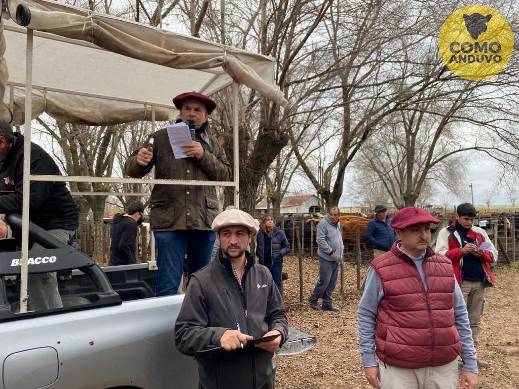 Marcos Matteucci Consignataria SRL